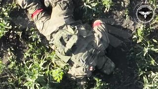 Realities of war 17