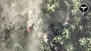 Realities of war 17