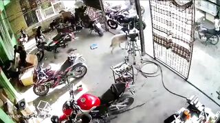 Sicario Shoots Man Several Times Leaving Him Wounded