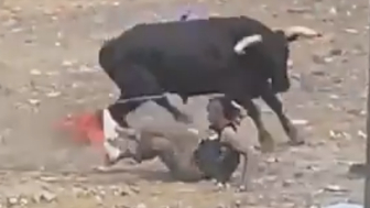 Man Injured By Angry Bull During A Festival
