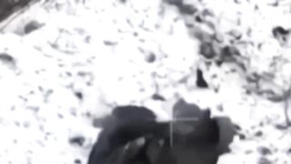 Ukrainian sniper eliminates russian soldier with a shot to the face