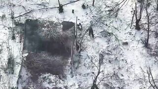 Powerful strike on russian invader by Ukrainian FPV drone