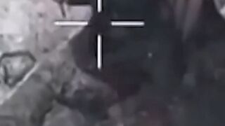 The occupier stabbed himself to death after a failed assault