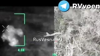 40 Ukrainians killed in video.