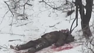 The last moments of a Russian on the battlefield