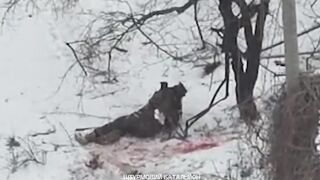The last moments of a Russian on the battlefield
