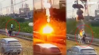 Man In Kaohsiung Was Electrocuted While Trying to Catch a Green Iguana