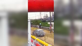 Man In Kaohsiung Was Electrocuted While Trying to Catch a Green Iguana