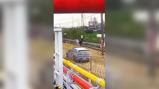 Man In Kaohsiung Was Electrocuted While Trying to Catch a Green Iguana