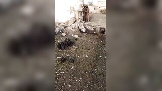 Baloch Rebels Killed During Battle By Pakistani Army