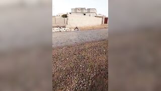 Baloch Rebels Killed During Battle By Pakistani Army