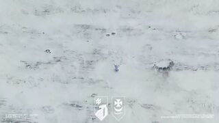 Another Russian Penguin soldier was struck by Ukrainian drones