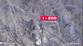 Another Russian Penguin soldier was struck by Ukrainian drones