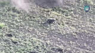 Orc Lego. Expert level.