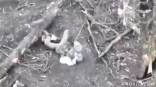 Orc shows his true face