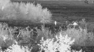 Sniper vs. Ukrainian head.