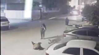 Ruthless Double Execution In Israel