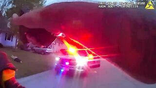Stabbing Suspect Shot And Killed By Illinois Officers