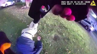 Stabbing Suspect Shot And Killed By Illinois Officers