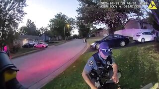 Stabbing Suspect Shot And Killed By Illinois Officers