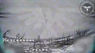 Realities of war 27