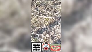 Advertisement for  food "Ukrainian ass"