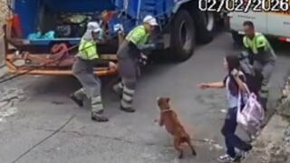 Pit Bull Attacks Garbage Collectors During Shift In Jabaquara
