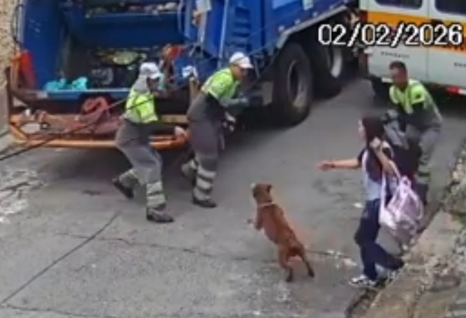 Pit Bull Attacks Garbage Collectors During Shift In Jabaquara