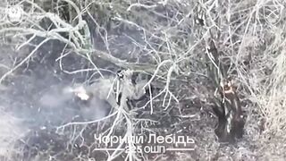UKRAINE DEATH COMP CXXXVIII