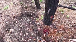 GoPro footage of combat operations of the UA unit SIGNUM