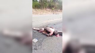 Motorcyclist Killed In Fiery Collision With A Bus