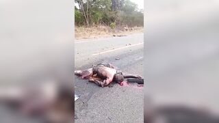 Motorcyclist Killed In Fiery Collision With A Bus