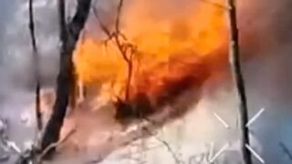A Russian's game of hide-and-seek in the forest was ended by a drone