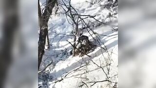 A Russian's game of hide-and-seek in the forest was ended by a drone