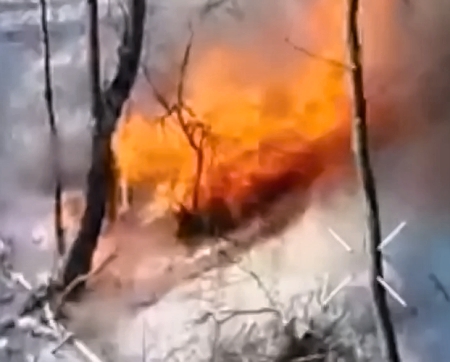 A Russian's game of hide-and-seek in the forest was ended by a drone