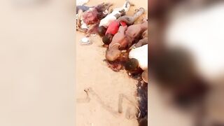 160 Villagers Massacred By Boko Haram In Nigeria