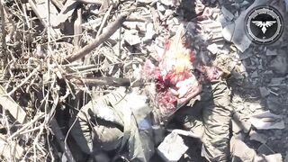 Realities of war 42