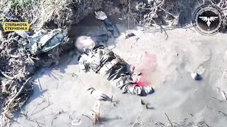 Realities of war 50