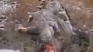 Silverian massacre of Russian cattle with FPV drones