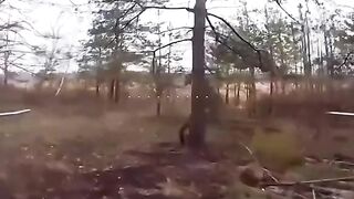 Silverian massacre of Russian cattle with FPV drones