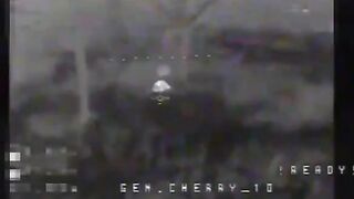Silverian massacre of Russian cattle with FPV drones