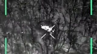 Silverian massacre of Russian cattle with FPV drones