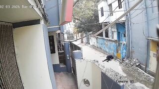 Driver Beaten With Hammer & Robbed Of His Rickshaw