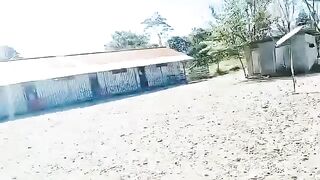 School Janitor Killed In KKB Assault In Yahukimo, Papua Mountains