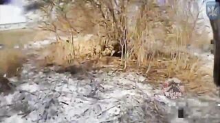 Birds of Magyar continue to destroy russian invaders in huge numbers