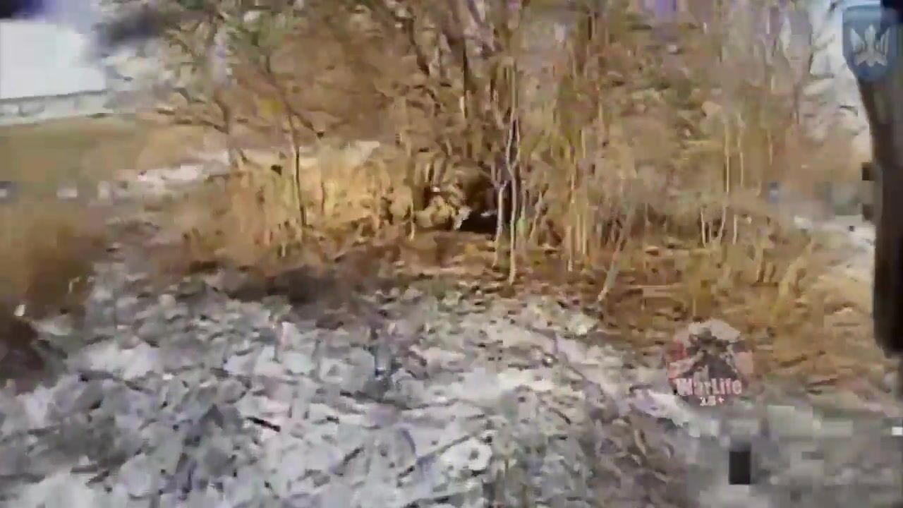 Birds of Magyar continue to destroy russian invaders in huge numbers