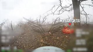 50 Ukrainians exterminated.