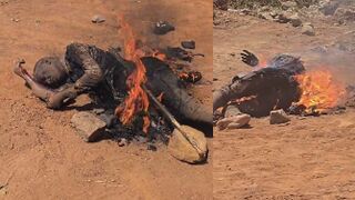 Bandit Set Ablaze By Mob Suffers In Flames