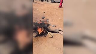 Bandit Set Ablaze By Mob Suffers In Flames