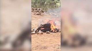 Bandit Set Ablaze By Mob Suffers In Flames